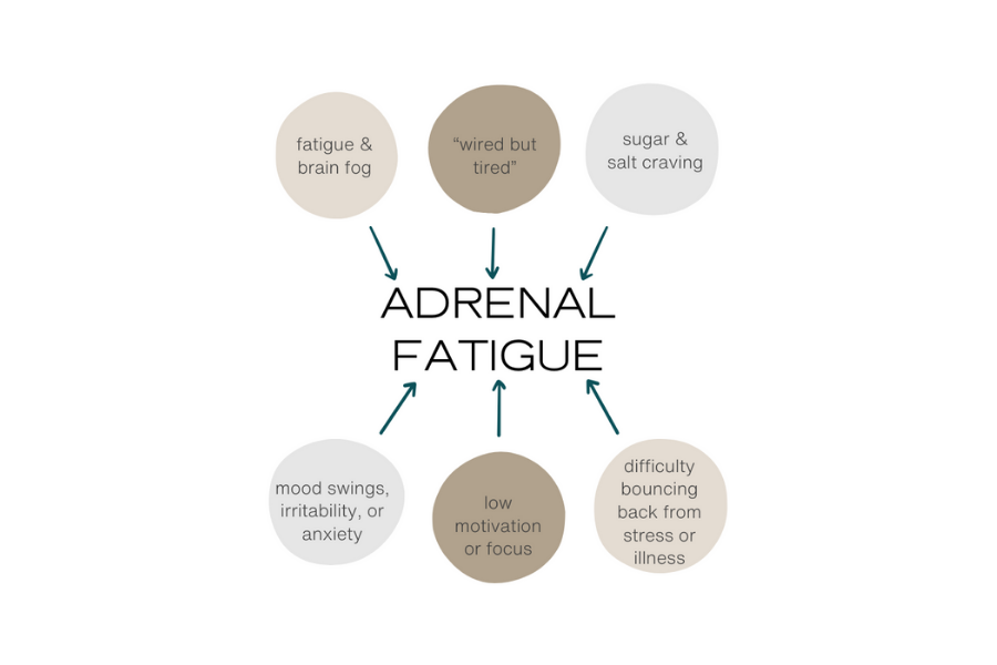 Feeling Tired But Don’t Know Why? Your Adrenals Might Be to Blame...