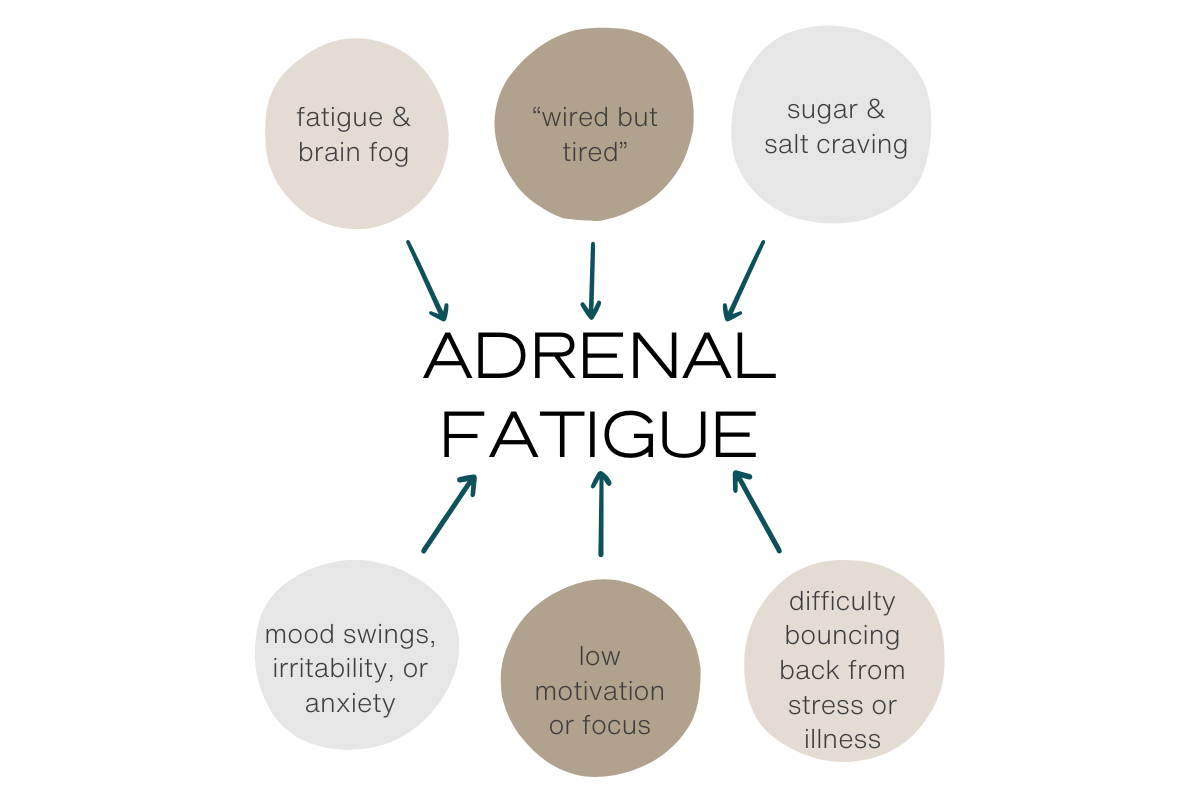 Feeling Tired But Don’t Know Why? Your Adrenals Might Be to Blame...