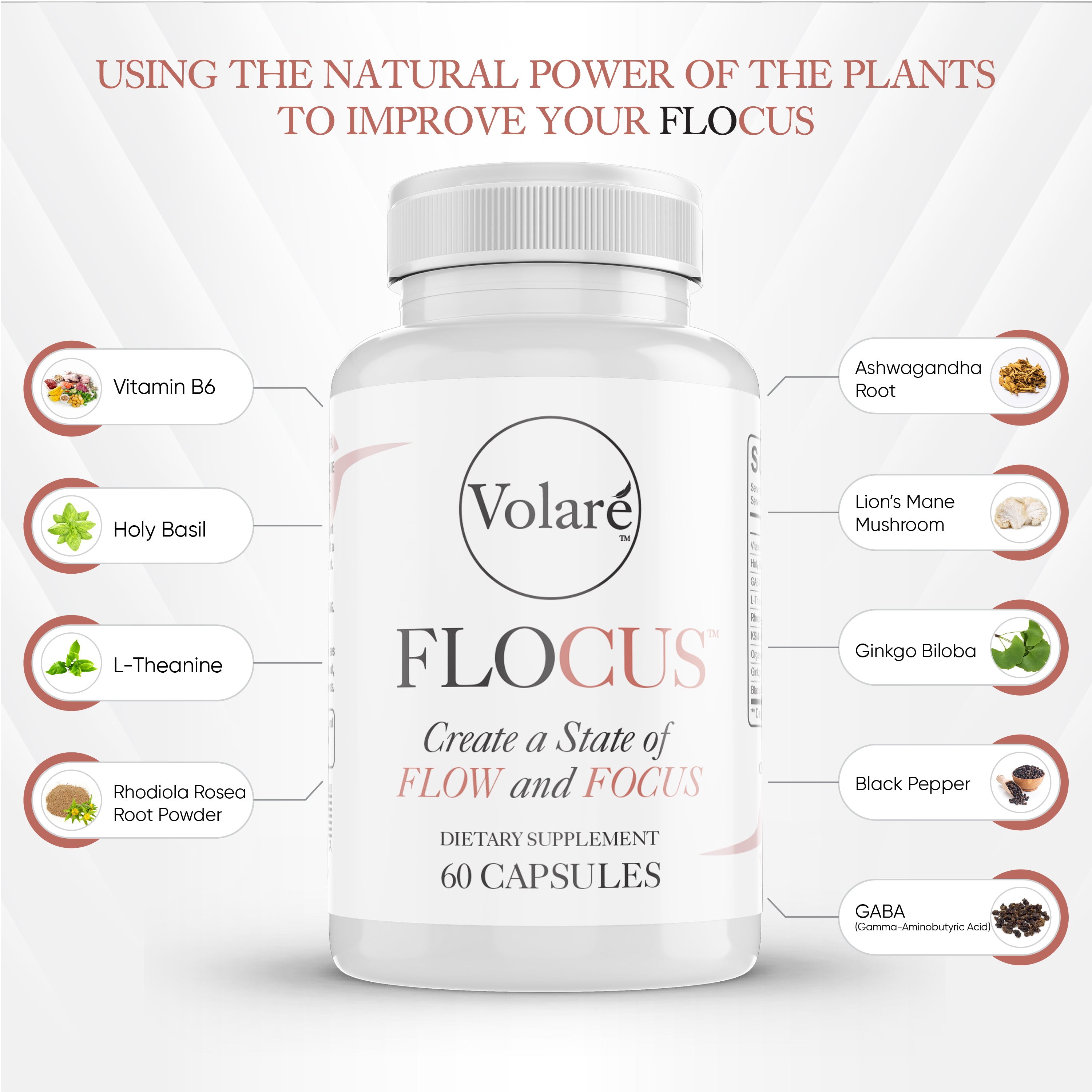 FLOCUS™ - Your Daily Dose of Focus and Flow | Natural Superplant ...