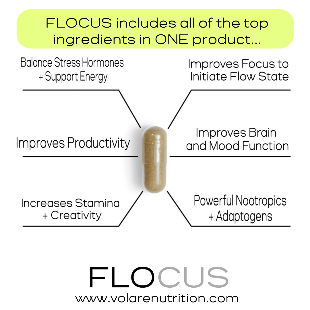 Partner Program FLOCUS™